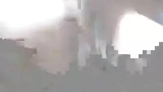 교수는 사무실에서 학생과 성인 섹스 동영상 채찍질.